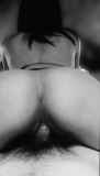 1129627.jpg
(5KB)