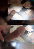 1129723.jpg
(22KB)