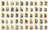 1130194.jpg
(16KB)