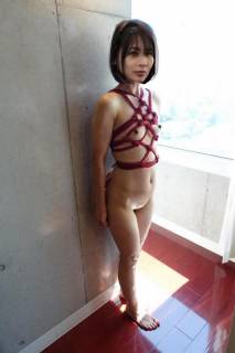 1130745.jpg (33KB)