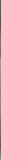 1133445.jpg
(9KB)