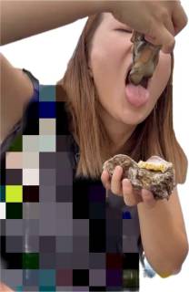1139124.jpg (65KB)