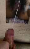 1141387.jpg 
								(7KB)