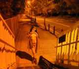 1152166.jpg 
								(40KB)