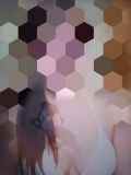 1156529.jpg 
								(6KB)