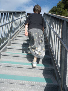 1157079.jpg (460KB)