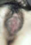1157391.jpg 
								(8KB)