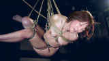 1158110.jpg 
								(9KB)