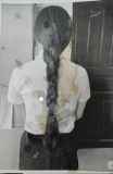 1159005.jpg 
								(7KB)