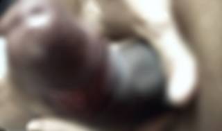 1159274.jpg (138KB)