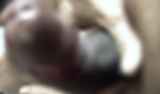 1159274.jpg 
								(4KB)