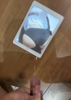 1159663.jpg (201KB)
