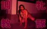 1160958.jpg 
								(34KB)