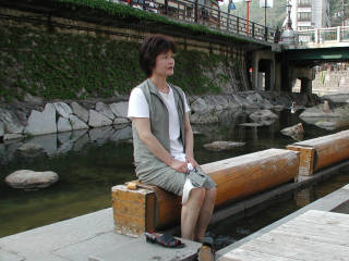 1161229.jpg (435KB)