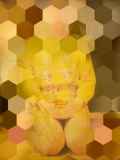 1161335.jpg 
								(8KB)