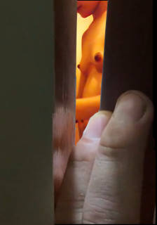 1167511.jpg (227KB)